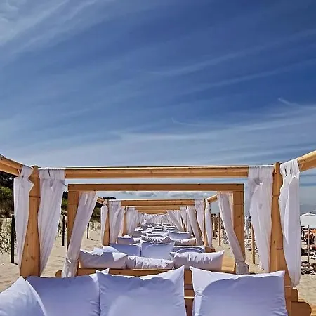 Privilege * 米兹多洛杰