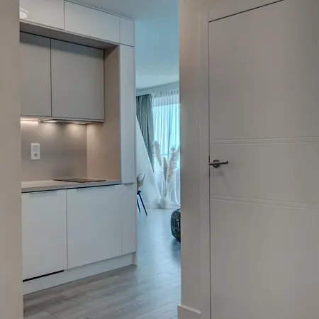 Privilege * 米兹多洛杰